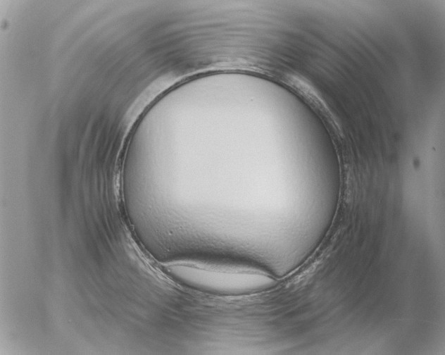 X0000052551284200507291906