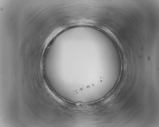 X0000052551285200507291906