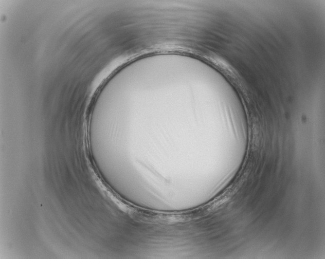 X0000052551286200507291906