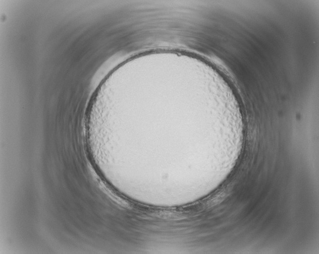 X0000052551287200507291906