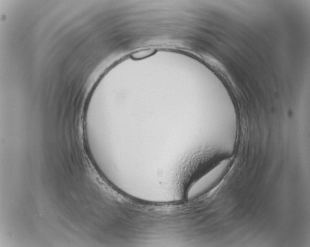 X0000052551288200507291906