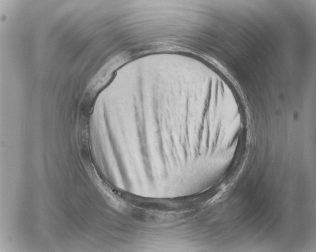 X0000052551289200507291906