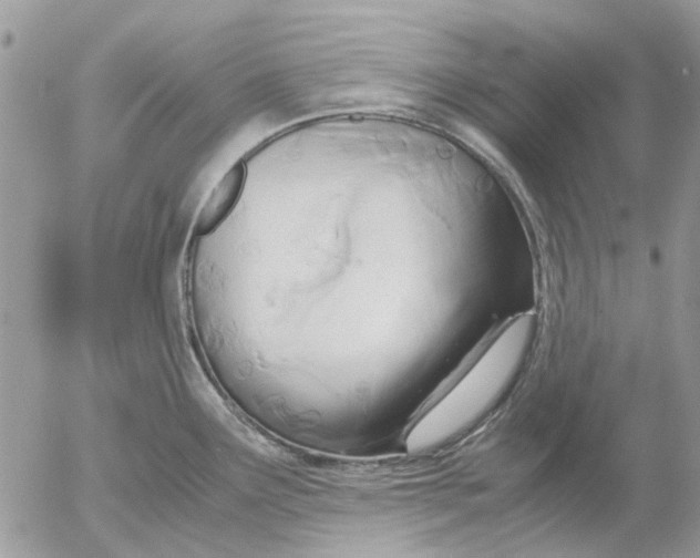 X0000052551291200507291906