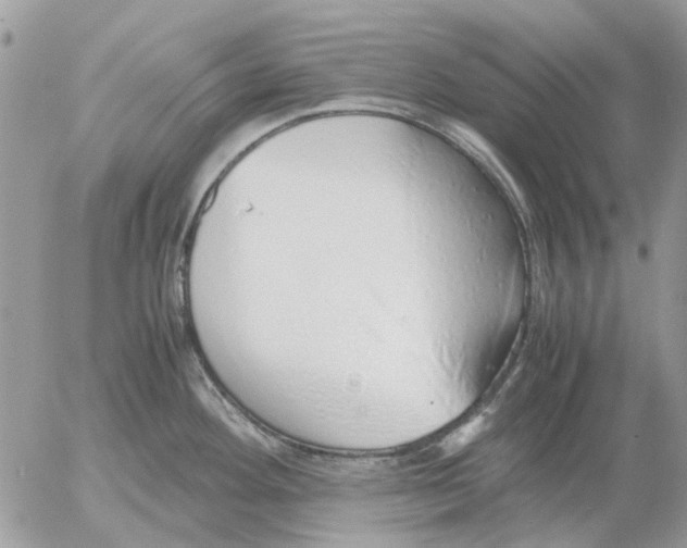 X0000052551292200507291906