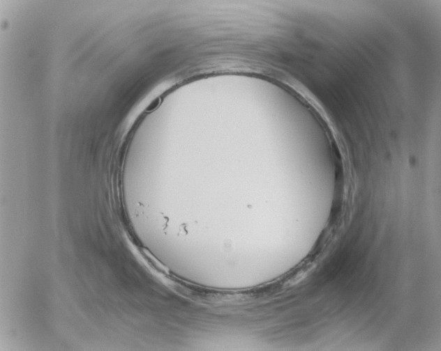 X0000052551293200507291906