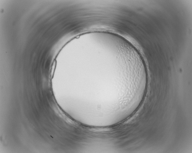 X0000052551296200507291906