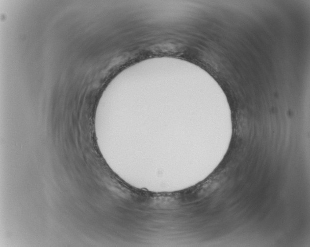 X0000052551297200507291905