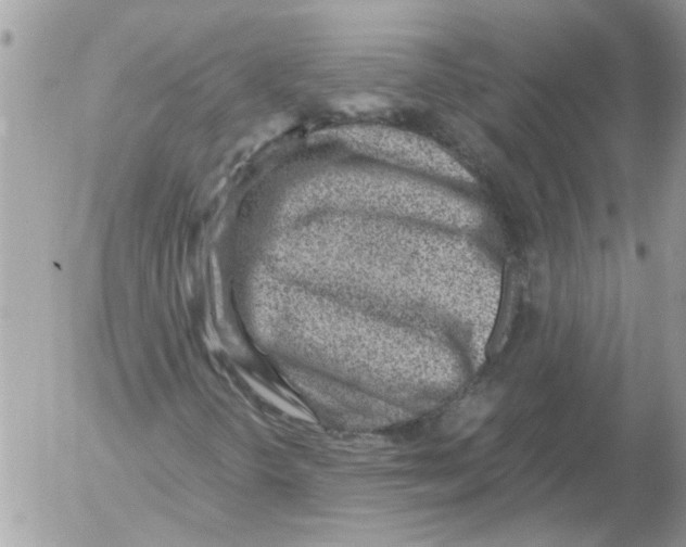 X0000052551298200507291905