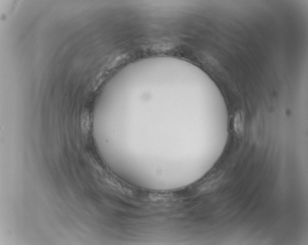 X0000052551299200507291905