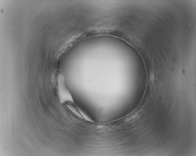 X0000052551300200507291905