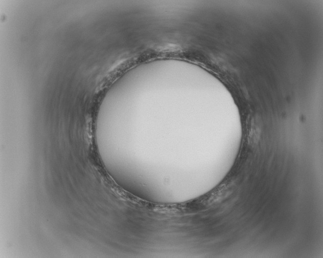 X0000052551301200507291905