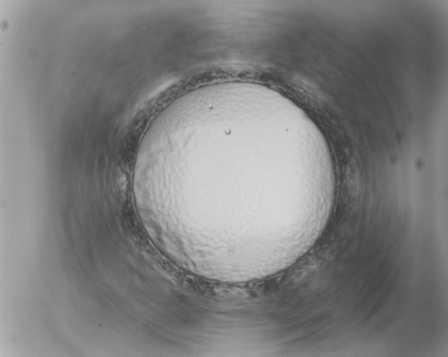 X0000052551302200507291905