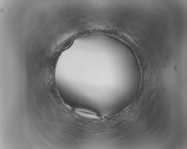 X0000052551303200507291905