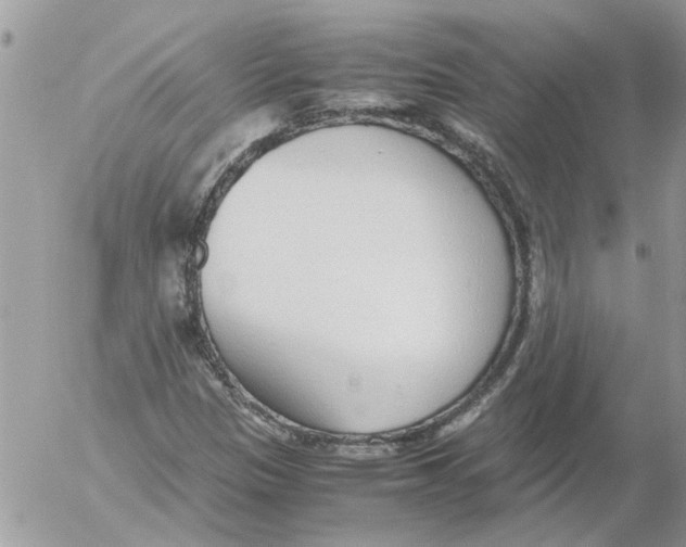 X0000052551305200507291905