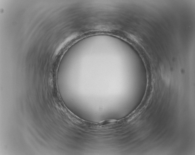 X0000052551307200507291905