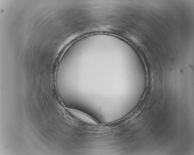 X0000052551308200507291905