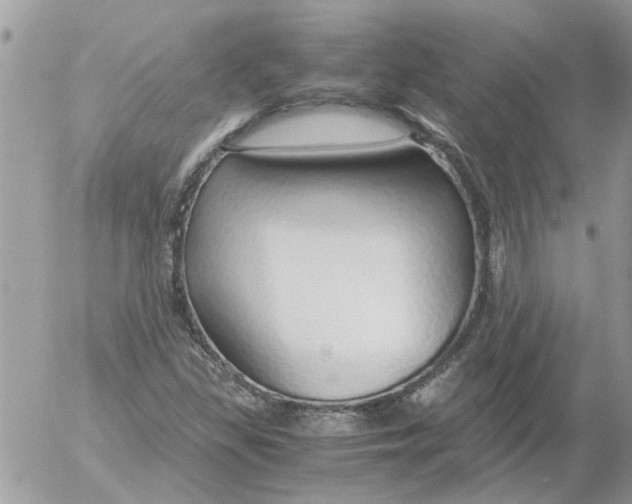 X0000052551309200507291905