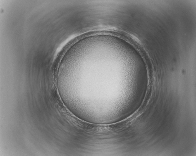 X0000052551310200507291905