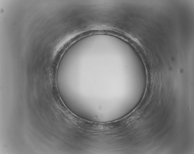 X0000052551311200507291905