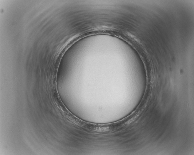 X0000052551313200507291905