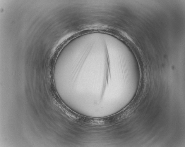 X0000052551315200507291906