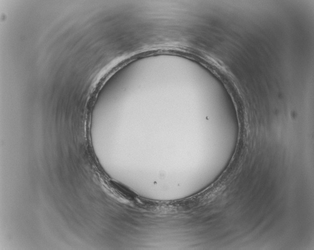 X0000052551316200507291906