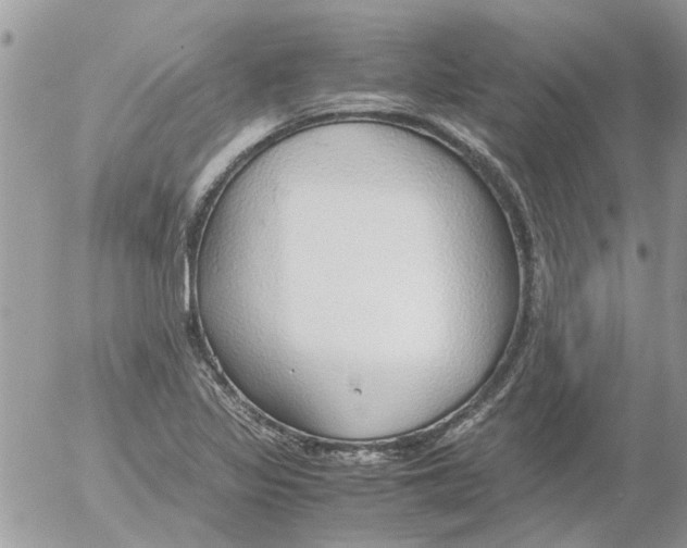 X0000052551317200507291906