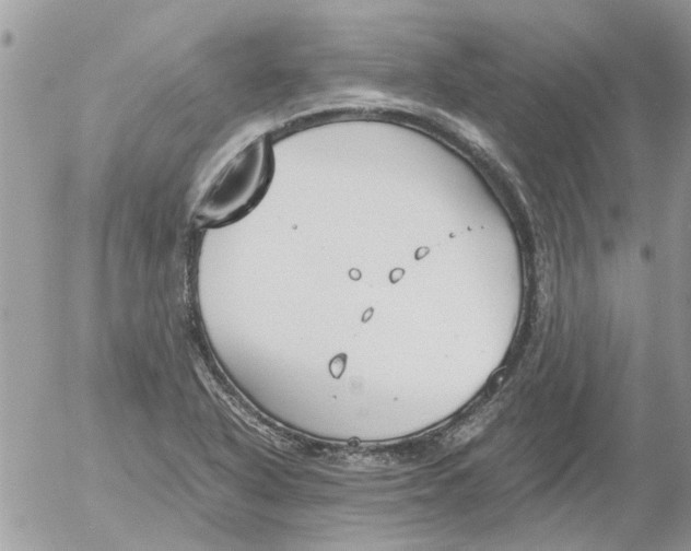 X0000052551318200507291906