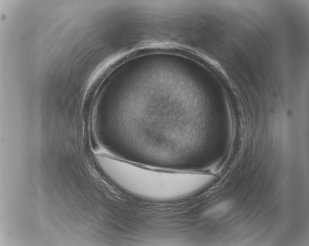 X0000052551319200507291906