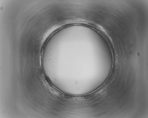 X0000052551320200507291906