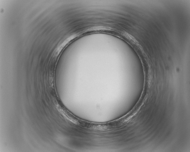 X0000052551321200507291906