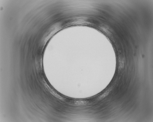 X0000052551322200507291906