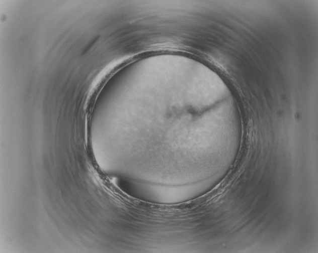 X0000052551323200507291906