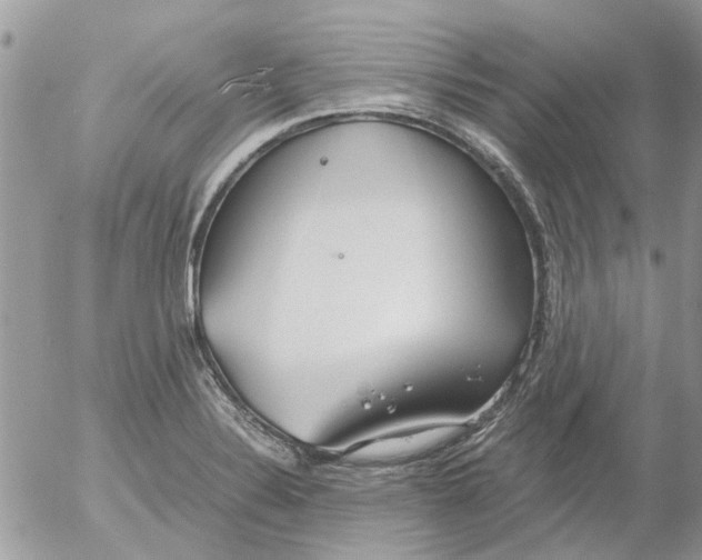 X0000052551324200507291906