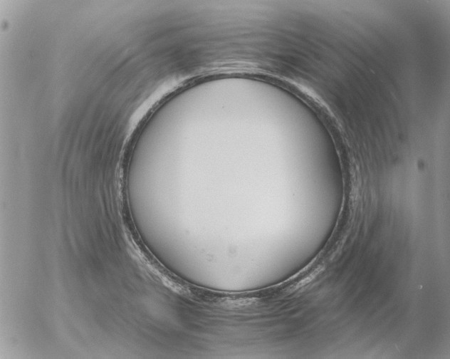 X0000052551325200507291906