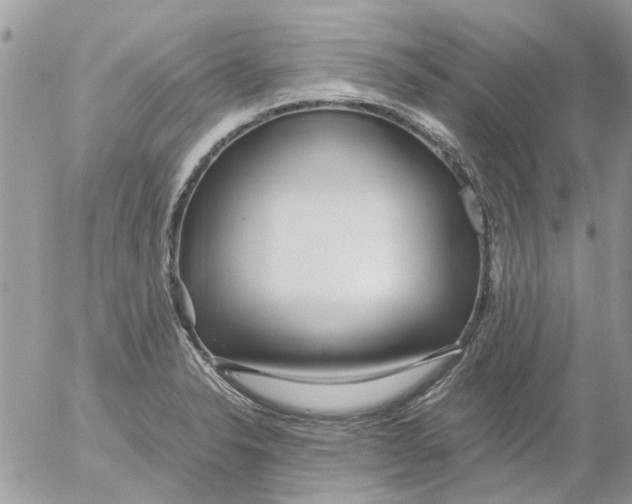 X0000052551326200507291906