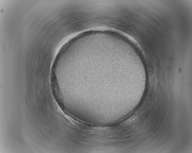 X0000052551327200507291906