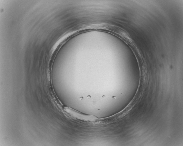 X0000052551328200507291906