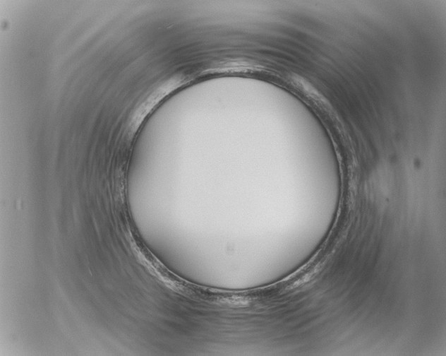 X0000052551329200507291906