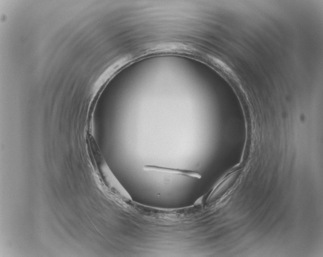 X0000052551330200507291906