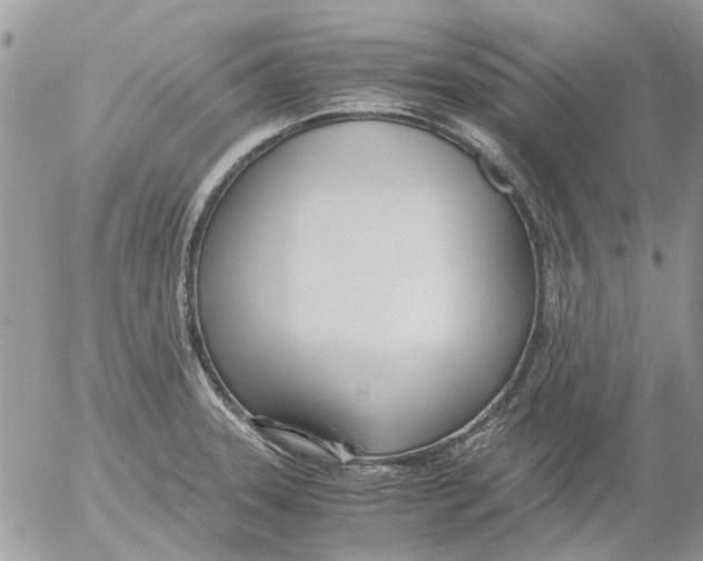 X0000052551331200507291906