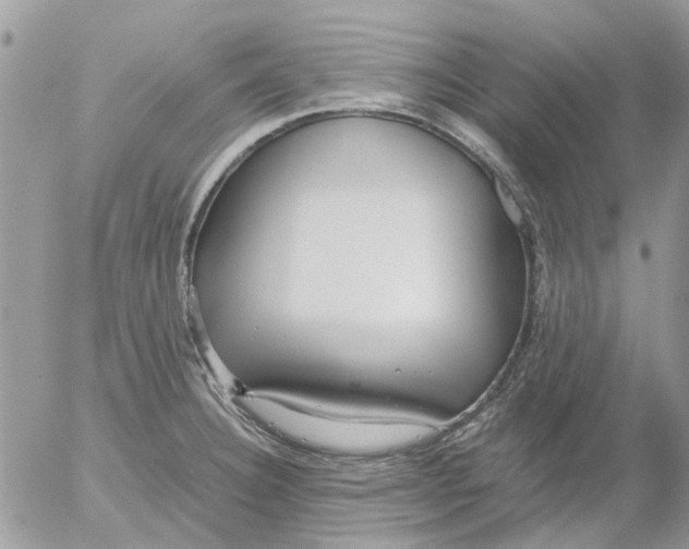 X0000052551332200507291906