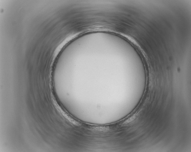 X0000052551333200507291906