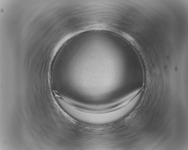 X0000052551334200507291906