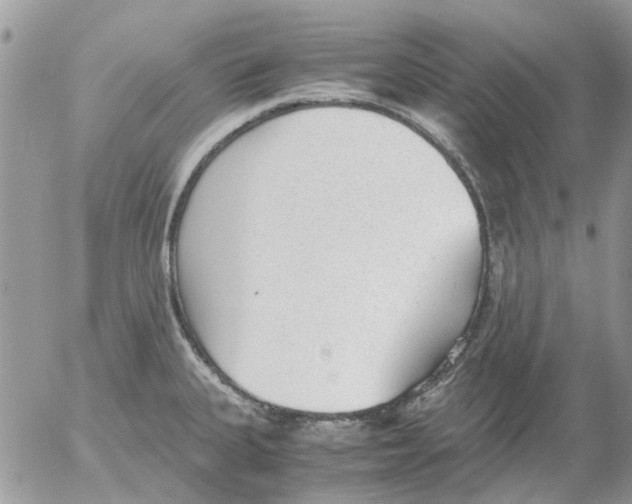 X0000052551335200507291906