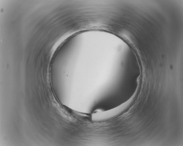 X0000052551336200507291906