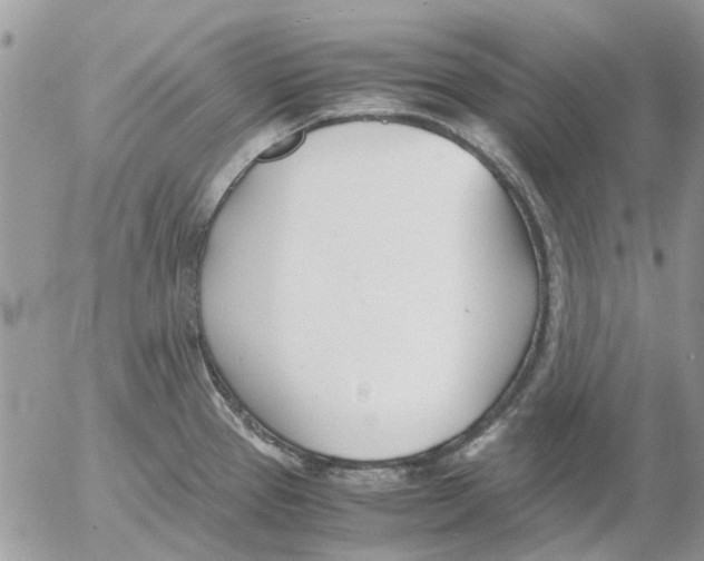 X0000052551337200507291906