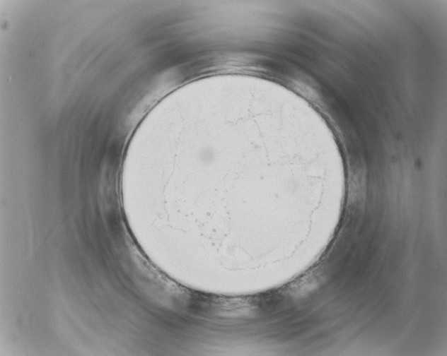 X0000052551338200507291906