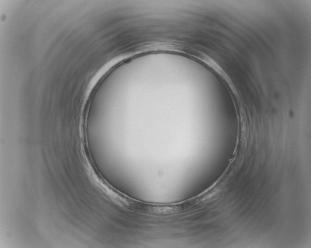 X0000052551339200507291906