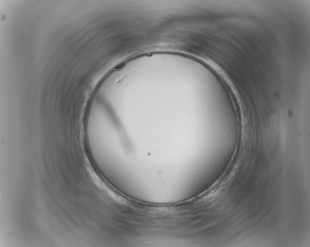 X0000052551341200507291906